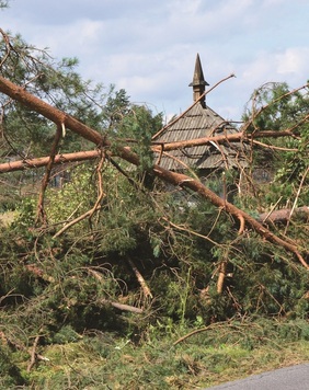 Połamane drzewa, w tle kapliczka