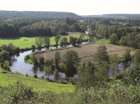 Widok na Skrwę Prawą