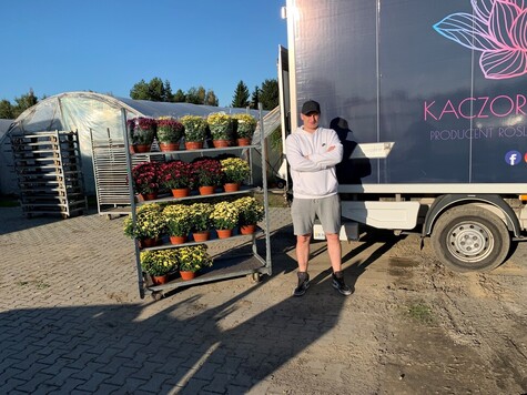 Mężczyzna w dresowej bluzie i krótkich spodenkach, w czapce z daszkiem stoi przy samochodzie dostawczym i metalowym wózku, na którego półkach ustawione są chryzantemy doniczkowe