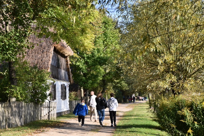 : Grupa zwiedzających spaceruje polną drogą na terenie Muzeum Wsi Mazowieckiej w Sierpcu