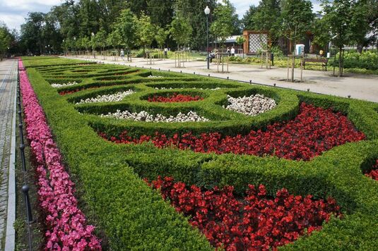 Widok na nasadzenia roślinne w parku