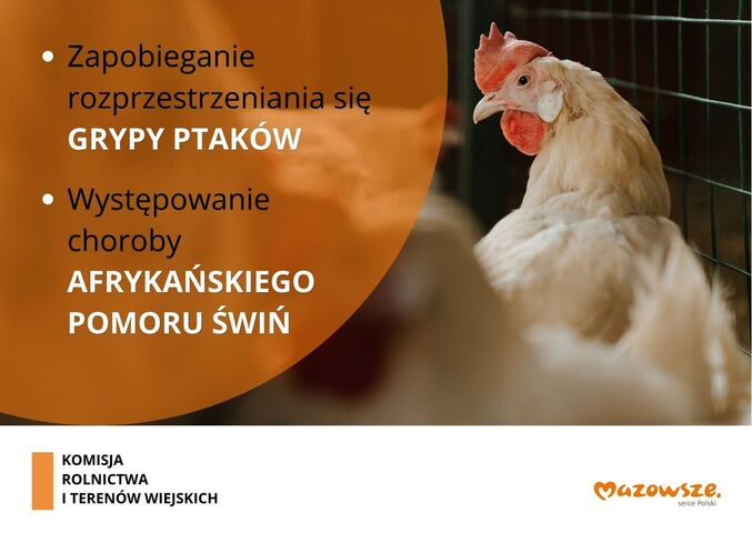 infografika zawierająca określająca tematykę dyskusji: zapobieganie rozprzestrzenianiu się grypy ptaków; występowanie choroby afrykańskiego pomoru świń