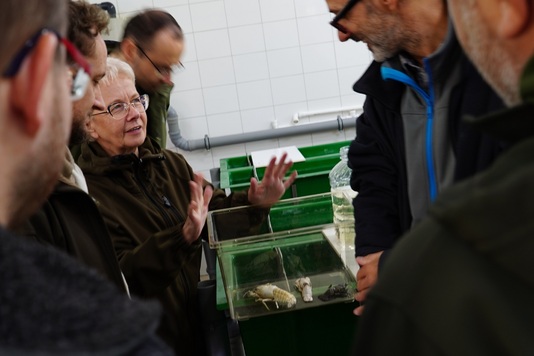 Kobieta i dwaj mężczyźni stoją na przeiw siebie i rozmawiają. Obok nich stoją skrzynie z młodymi rakami