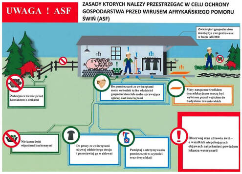 Lista zasad koniecznych do przestrzegania w celu ochrony przed HPAI