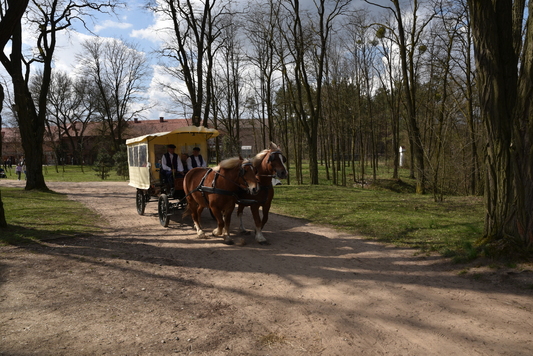 wóz zaprzęgnięty w dwa konie jedzie przez skansen