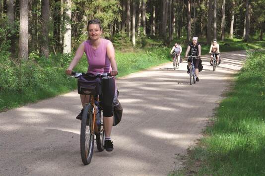 Rowerzyści na jednym z mazowieckich leśnych szlaków