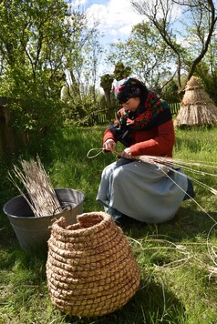 kobieta wyplata kosz z wiklinowych gałązek