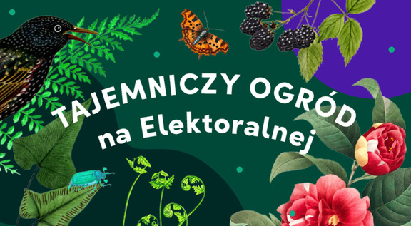 Tajemniczy ogród