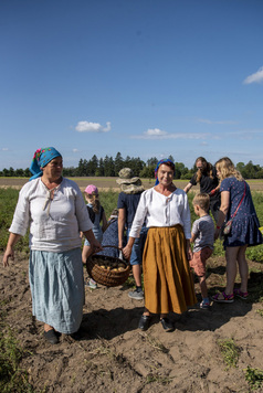 kobity w historycznych strojach na polu. 