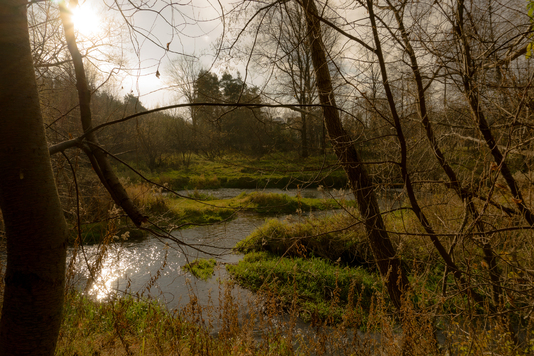 Widok na meandrującą rzekę i zielone trawy na brzegach