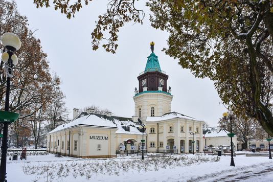 Muzeum Regionalne w Siedlcach.jpg