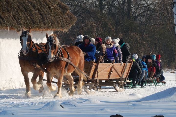 Kulig w zaprzęgu konnym