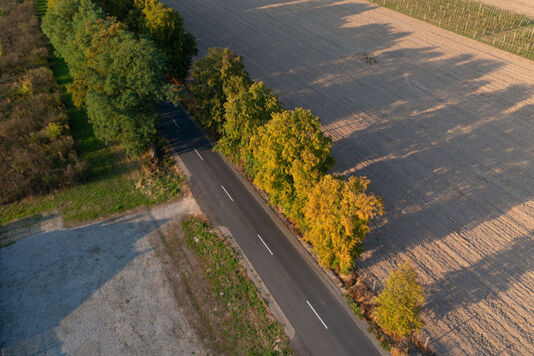 Droga Sadków - Lewiczyn