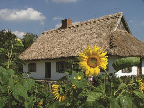 Muzeum Wsi Mazowieckiej w Sierpcu