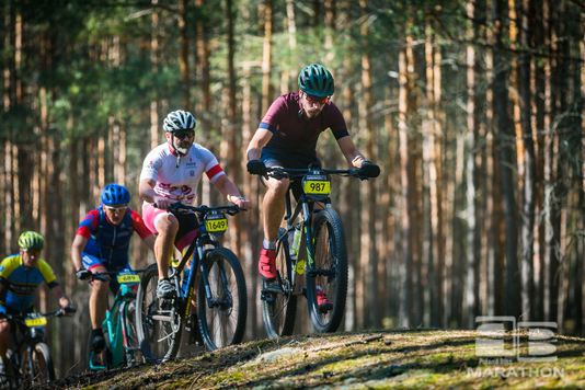 Grupa osób jadących duktem leśnym na rowerach