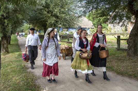 Grupa osób w strojach regionalnych idąca wiejską drogą.