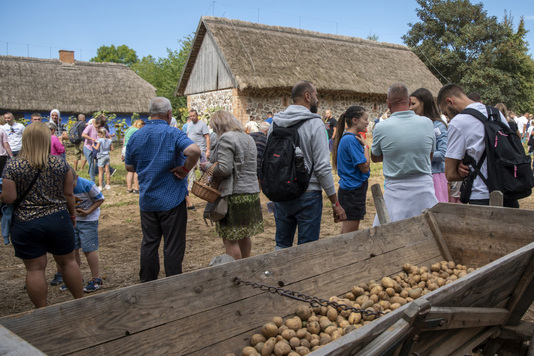 Grupa muzealnych gości przyglądających się wykopkom.