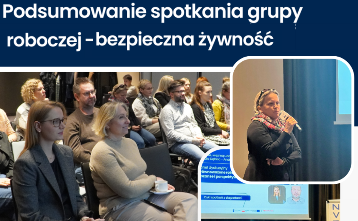 Podsumowanie spotkania grupy roboczej