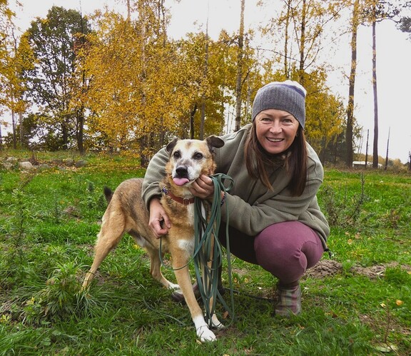 Starsze psy mają mniejsze szanse na adopcję.