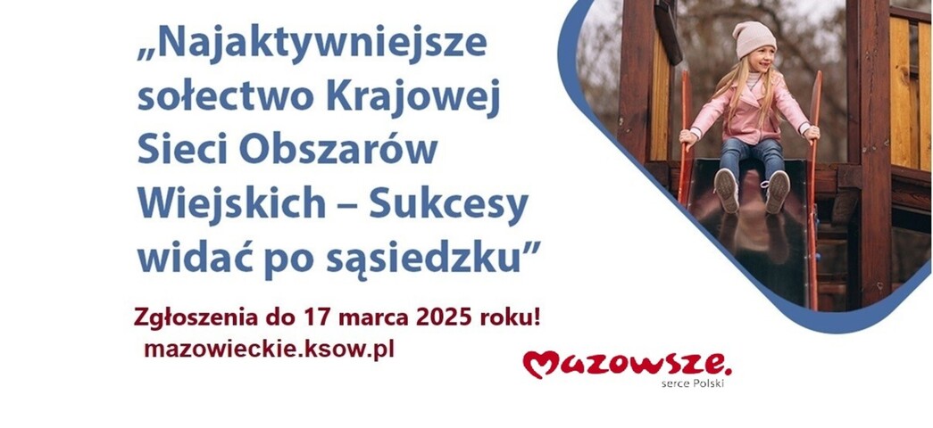 Plakat promujący konkurs, przedstawiający dziewczynkę bawiącą się na placu zabaw. Dodatkowo podano nazwę konkursu oraz datę przyjmowania zgłoszeń.