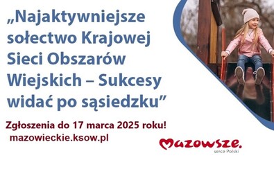 Plakat promujący konkurs, przedstawiający dziewczynkę bawiącą się na placu zabaw. Dodatkowo podano nazwę konkursu oraz datę przyjmowania zgłoszeń.