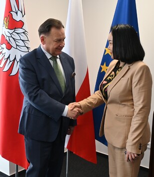 marszałek i ambasador