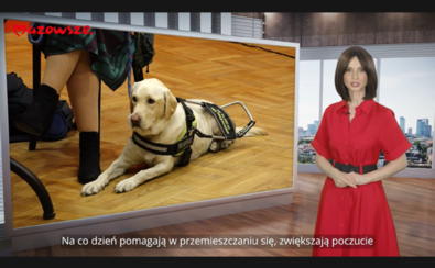 kadr z programu