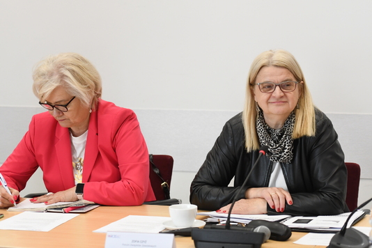 członkowie Zespołu podczas XIX posiedzenia Zespołu roboczego ds. ochrony zdrowia, Zofia czyż omawia raport o stanie pielęgniarstwa