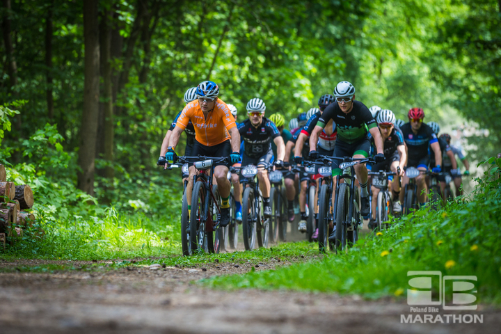Peleton kolarzy jedzie leśną trasą